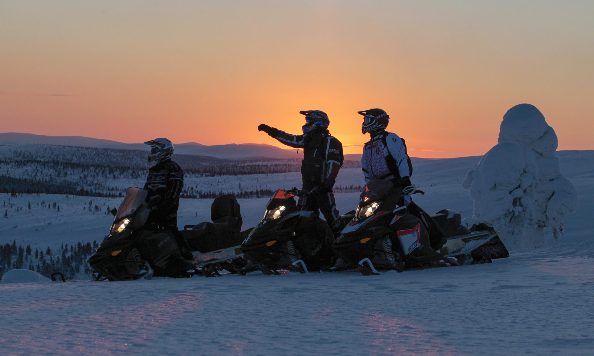 Snowmobile safaris