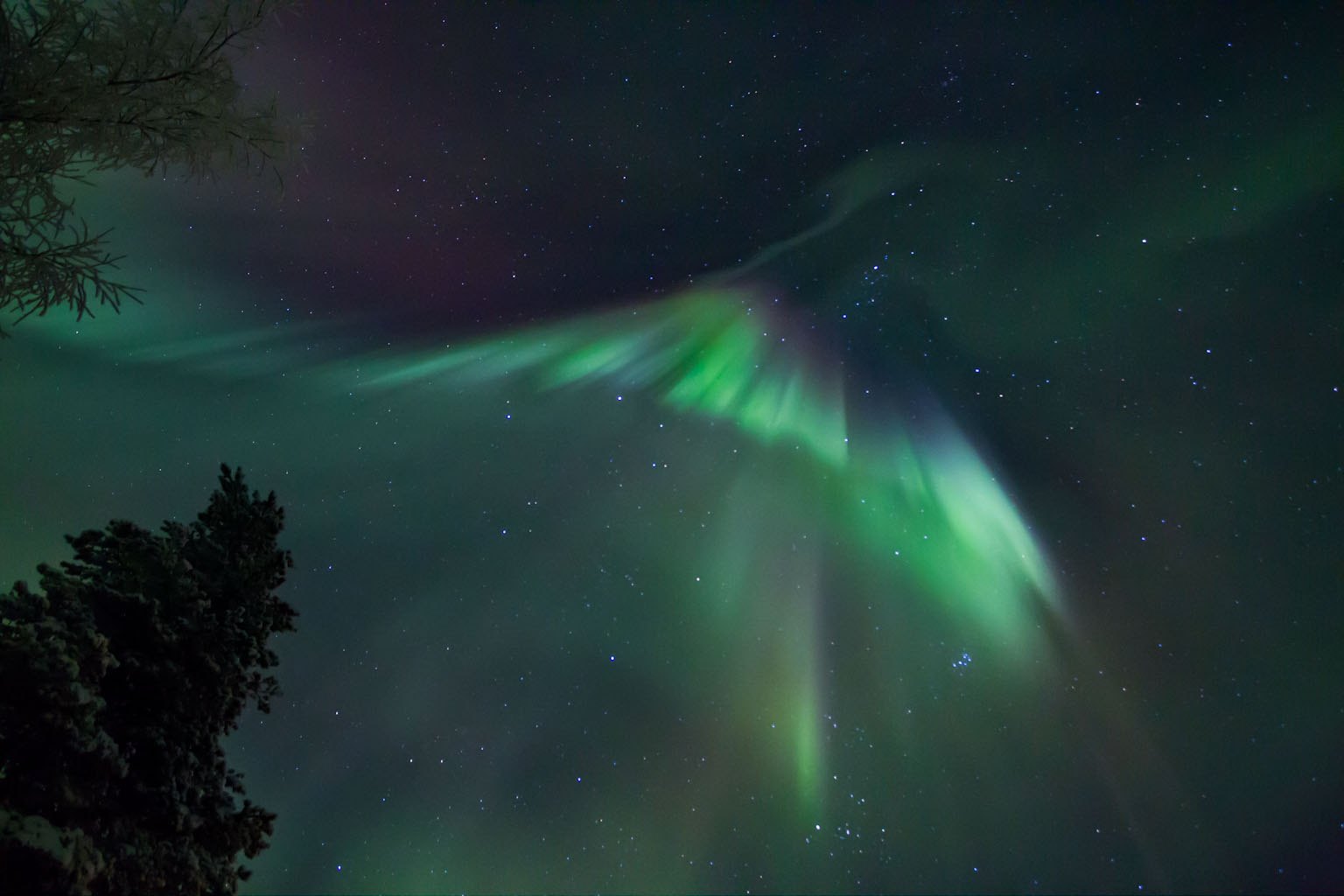 Aurora Hunt By Car - Kelo Resort