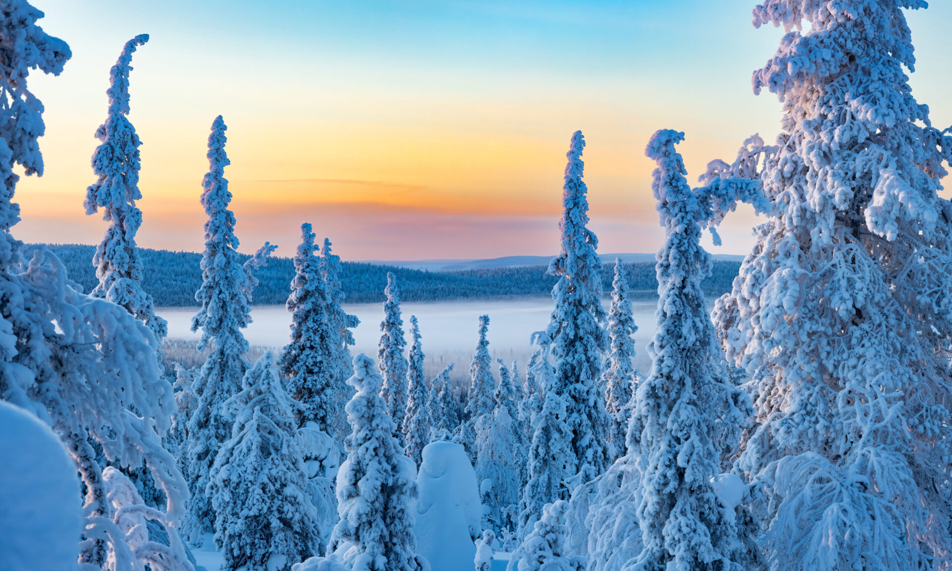 Kelo Resort view Pallas