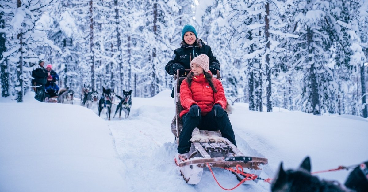 dog sledding lapland finland