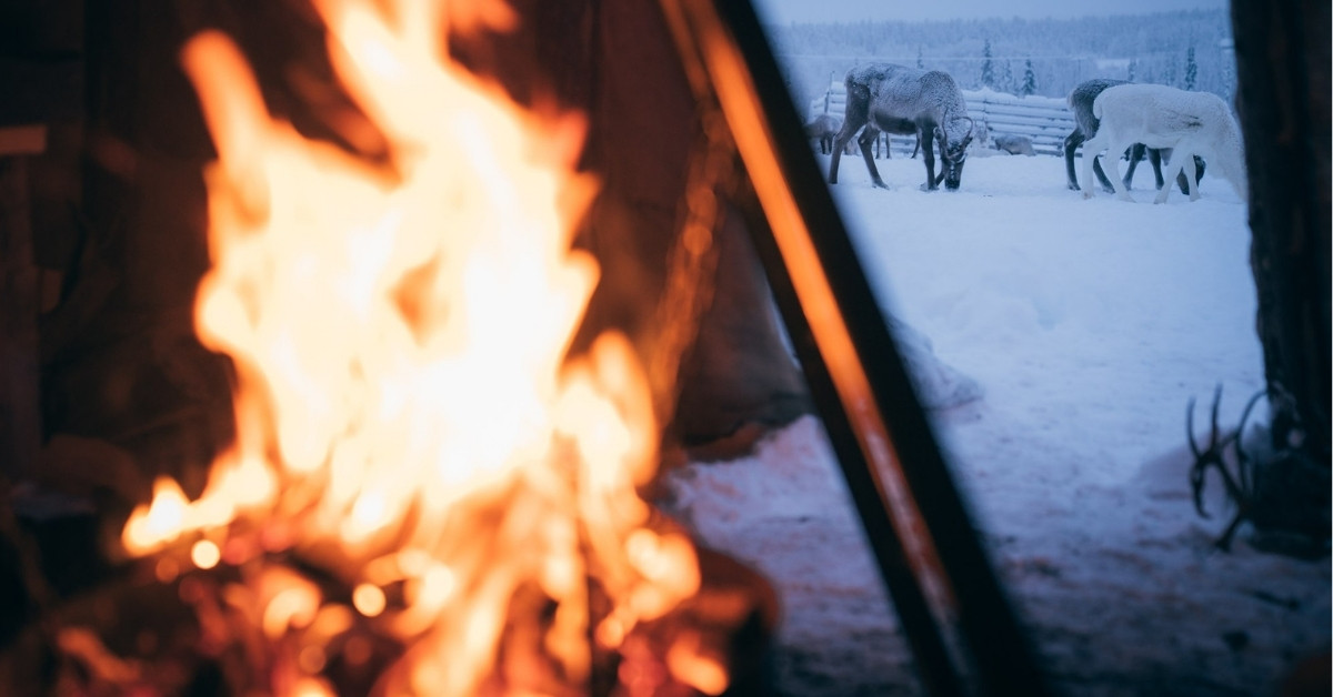 snowmobile safari finland