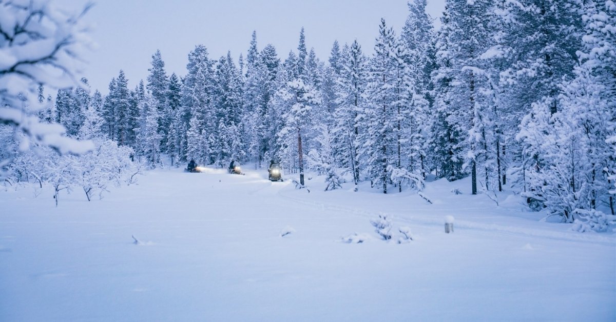 snowmobile safari in lapland