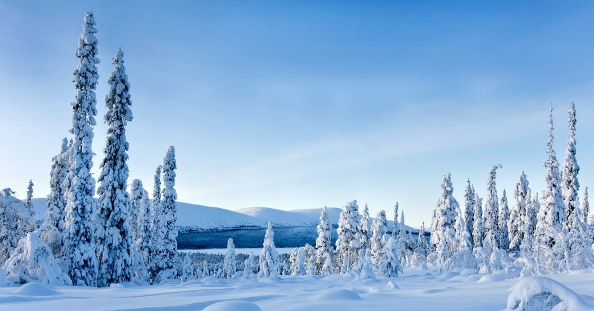 expérience de raquette à neige Rovaniemi